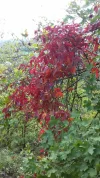 20181007_141839.webp