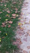 20171020_085541.webp