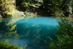 IMG_20180925_210013.webp
