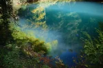 DSC_0077.webp