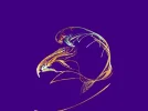 Birdy.webp