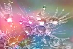 drop-of-water-862316_1920.webp