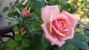 20181008_150302.webp