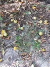 IMG-20181009-WA0006.webp