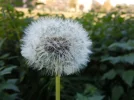 DSCN0063.webp