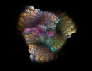 FABERGE 111018_2.webp