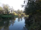 LS8.webp