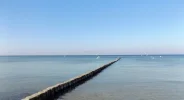 DSCF0739 (3).webp