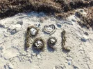 DSCF0744 (2).webp