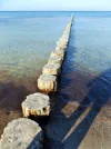 DSCF0746 (2).webp