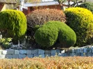 DSCF0762 (2).webp
