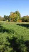 20181014_131249.webp