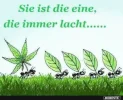 65c7f0b10e488933bef9e31af0f10ce64605.webp