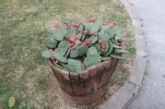 128.webp