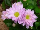 P1350031.webp