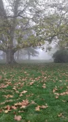 20171020_085708.webp