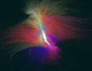 FABERGE 161018_3.webp