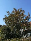 IMG_20181016_150249.webp