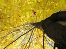 pict (2).webp