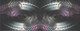 Auge Kombi.webp