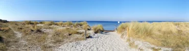 DSCF0759 (2).webp
