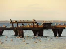 DSCF0686 (2).webp