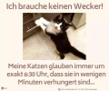 FB_IMG_1540000517796.webp