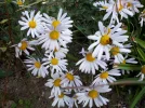 20181008_151719.webp