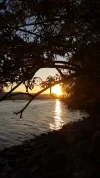 026D4E0F-F7D7-4A2A-A1CC-E43CBD9856AD.webp