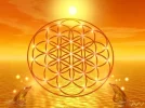 3 Blume des lebens.webp