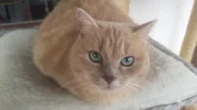 20180307_173827.webp