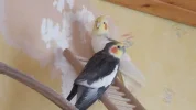20170116_150028.webp