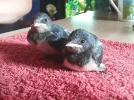 20180807_115908.webp