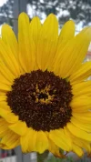 20181026_100655.webp