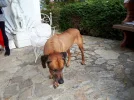 20181026_141522-3456x2592.webp