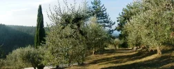 PA120356.webp