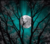 3r grüner Mond.gif