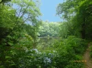 Waldsee1..webp