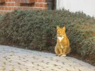 DSCF0864 (2).webp
