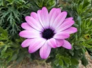 DSCF0839 (2).webp