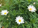 DSCF0840 (2).webp