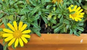 DSCF0843 (3).webp