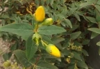 DSCF0847 (2).webp