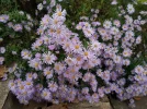 20181008_183246.webp