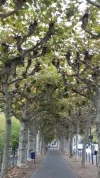 20181101_130850.webp
