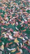 20181104_163258.webp