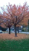 20181104_163428.webp