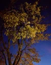 IMG_20181031_171823.webp