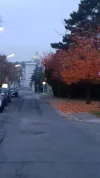20181104_163510.webp