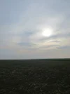 IMG_0117 (3).webp